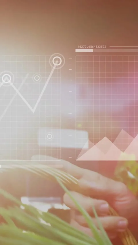 Animation of data processing and diagrams over caucasian man picking vegetables Stock Footage 320444067