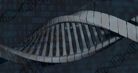 Animation of data processing and dna str... | Stock Video | Pond5