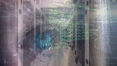 Animation of data processing and eye ove... | Stock Video | Pond5