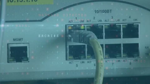 Animation of data processing and hacking texts over close up of server cable Stock Footage 303951042