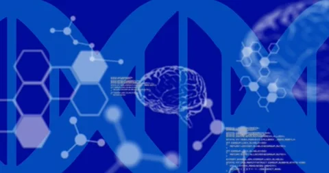 Animation of data processing and human brain model on blue background Stock Footage 329218075