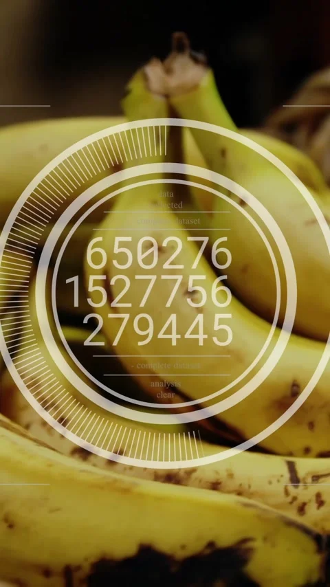 Animation of data processing on circle over basket with bananas Stock Footage 320590376