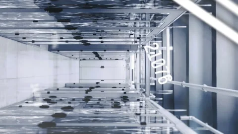 Animation of data processing with connections over computer servers Stock Footage 313088383