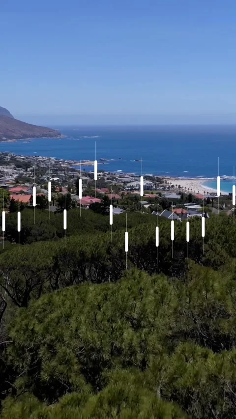 Animation of data processing over aerial view of landscape with trees, Stock Footage 341921190