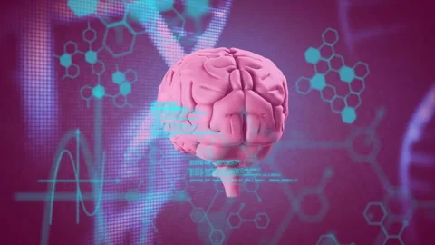 Animation of data processing over brain and chemical formula Stock Footage 307816362