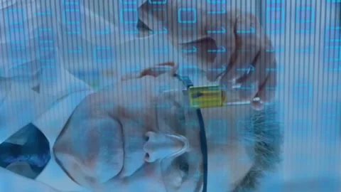 Animation of data processing over caucasian male scientist working in lab Stock Footage 313039546