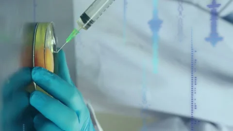 Animation of data processing over caucasian scientist taking samples of eggs Stock Footage 313369236