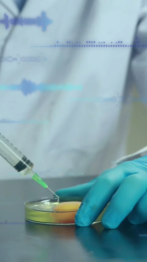 Animation of data processing over caucasian scientist taking samples of eggs Stock Footage 321513240