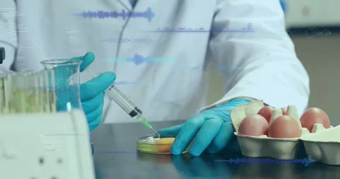 Animation of data processing over caucasian scientist taking samples of eggs Stock Footage 327846413