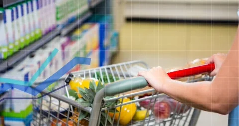 Animation of data processing over caucasian woman with trolley in russia Stockbeeldmateriaal 330590733