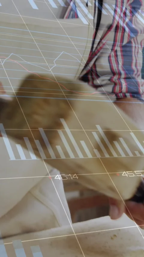 Animation of data processing over caucasian male carpenter working in workshop Stock Footage 343778737