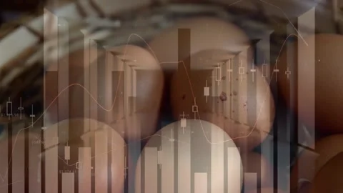 Animation of data processing over eggs Stock Footage 330291391