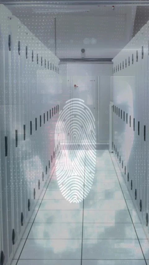 Animation of data processing over fingerprint and computer servers Stock Footage 344722693