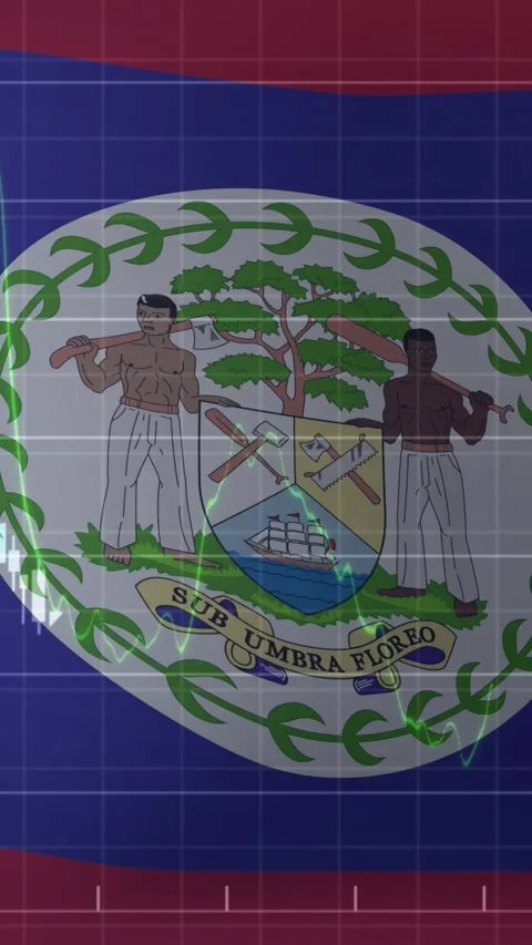 Animation of data processing over flag of belize Stock Footage 342607719