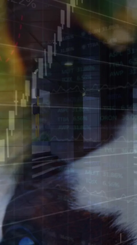 Animation of data processing over horse Stock Footage 344635648
