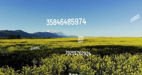 Animation of data processing over landscape Vidéo 265706357