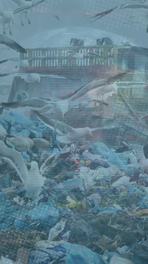 Animation of data processing over rubbish dump Stock-Footage 343644172