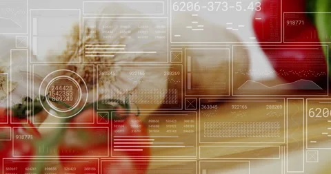 Animation of data processing over vegetables Stock Footage 266190643
