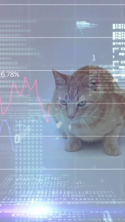 Animation of data processing over white background and cat Stock Footage 343127647