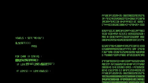 Data Python Stock Video Footage | Royalty Free Data Python Videos | Pond5