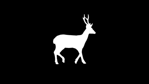 Animation deer walking on the black background. Stock Footage 335970477