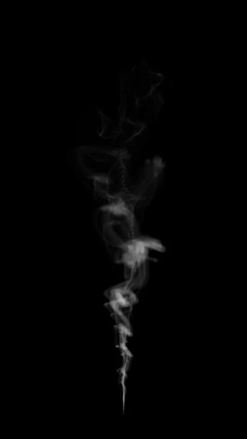 Animation delicate white incense smoke rises and curls on a black background Stock Footage 345138746