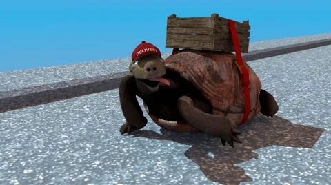 Animation, delivery turtle with Box Stock Footage 67203330