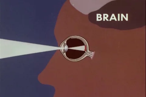 Animation depicts parts and functioning ... | Stock Video | Pond5