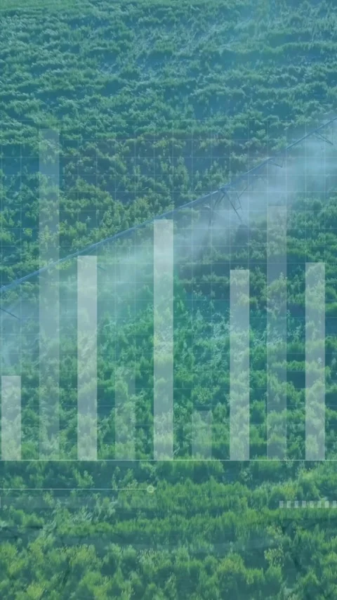 Animation of diagrams and data processing over plantation Stock Footage 343615719