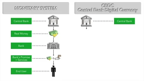 Animation of the difference between the classic monetary system and the new.. Stock Footage 233495599