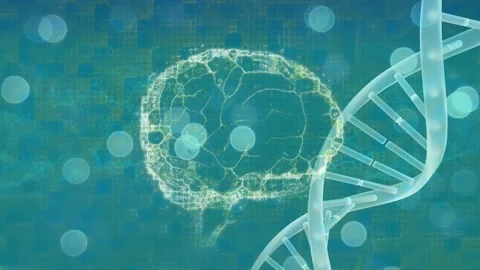 Animation of digital brain and light spo... | Stock Video | Pond5