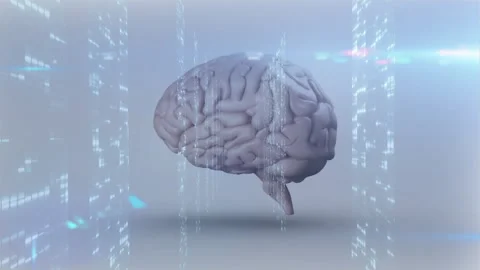 Animation of digital brain with data streams and futuristic elements in school Stock Footage 303565185