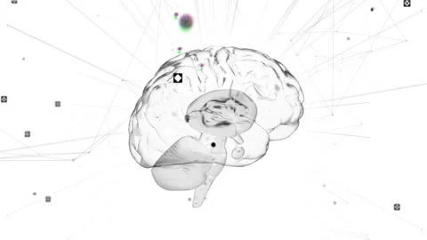 Animation of digital brain with network connections and geometric elements Stock Footage 303419539