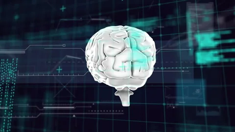 Animation of digital brain over data processing on black background Stock Footage 309356032
