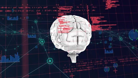 Animation of digital brain over data processing with network of connections on Stock Footage 309356035