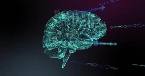 Animation of digital data processing over human brain Stock Footage 265542070