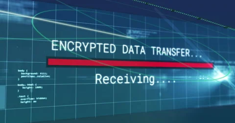 Animation of digital data processing over encrypted data transfer text on black Stock Footage 308141803