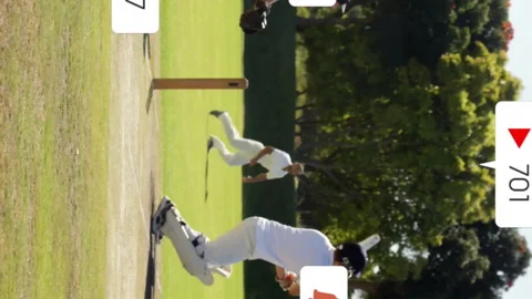Animation of digital data processing over diverse cricketers on field Stock Footage 313088678