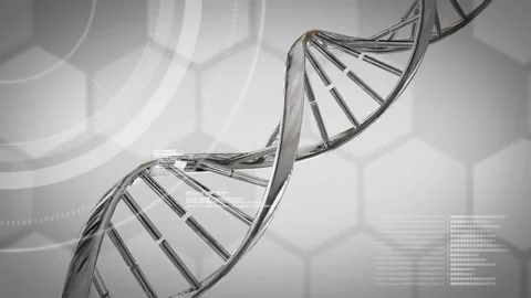Animation of digital data processing over dna strand spinning Stock Footage 329690768