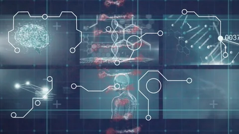 Animation of digital human body and rotating dna helix over medical infographic Stock Footage 315949838