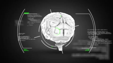 Animation of digital human brain in circles over computer language against Stock Footage 330344546