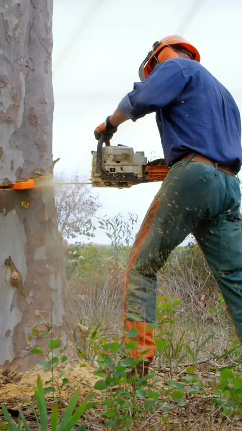 Animation of digital interface over lumberjack Stock Footage 342915051