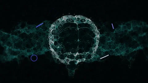 Animation of digital network forming circular pattern with glowing lines in Stock Footage 304841478