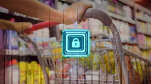 Animation of digital padlock over data processing and woman with shopping Stock Footage 328463641