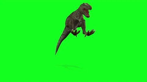 Animation -Dinosaurs Walking On Green Screen Background. 库存影片 197384786