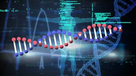 Animation of diverse data processing, human model and dna on black background Stock Footage 330177891
