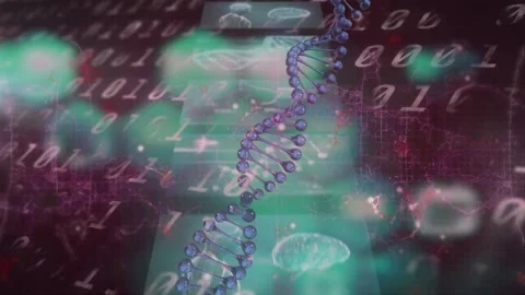 Animation of dna chain rotating over binary code and diverse data on screens Stock Footage 172267578