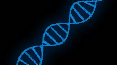 Animation of DNA construction Scan Science animation Genom futuristic footage Stock Footage 131308243