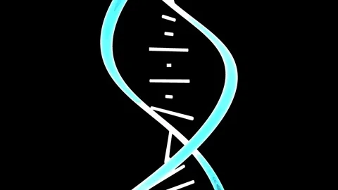 Animation DNA Helix Data Strand Data Visualization Video stock 336452673