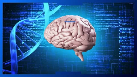 Animation of dna helix, rotating human brain and computer language over abstract Stock Footage 257068458